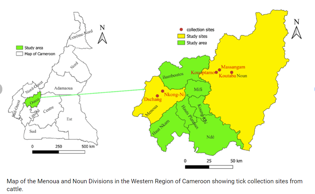 Yɛmba or Yemba, also Yémba or Bamiléké Dschang, is a major Bamileke language of Cameroon.